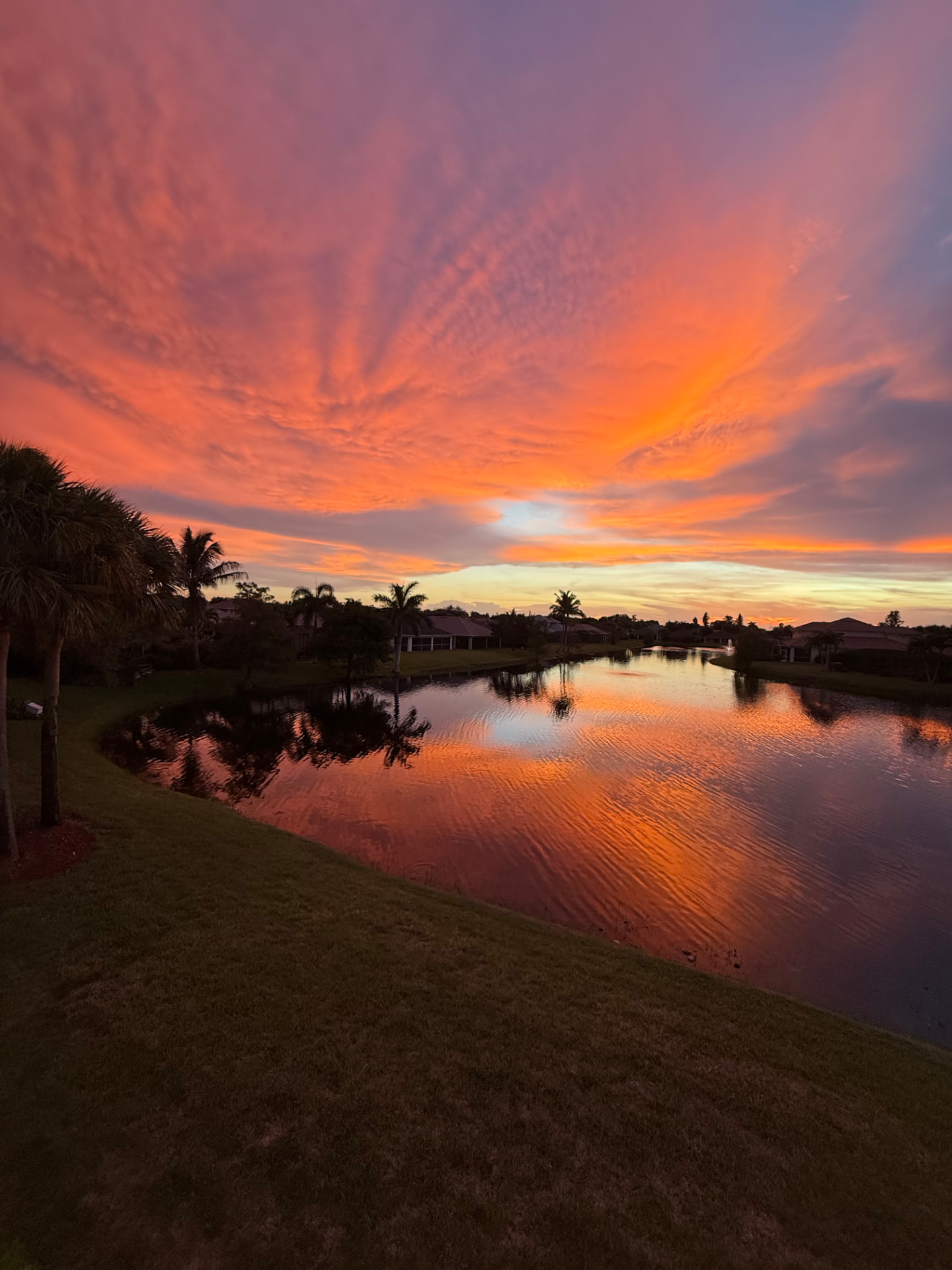 Vivid orange sunset reflected in a Calusa Palms lake lined with palms