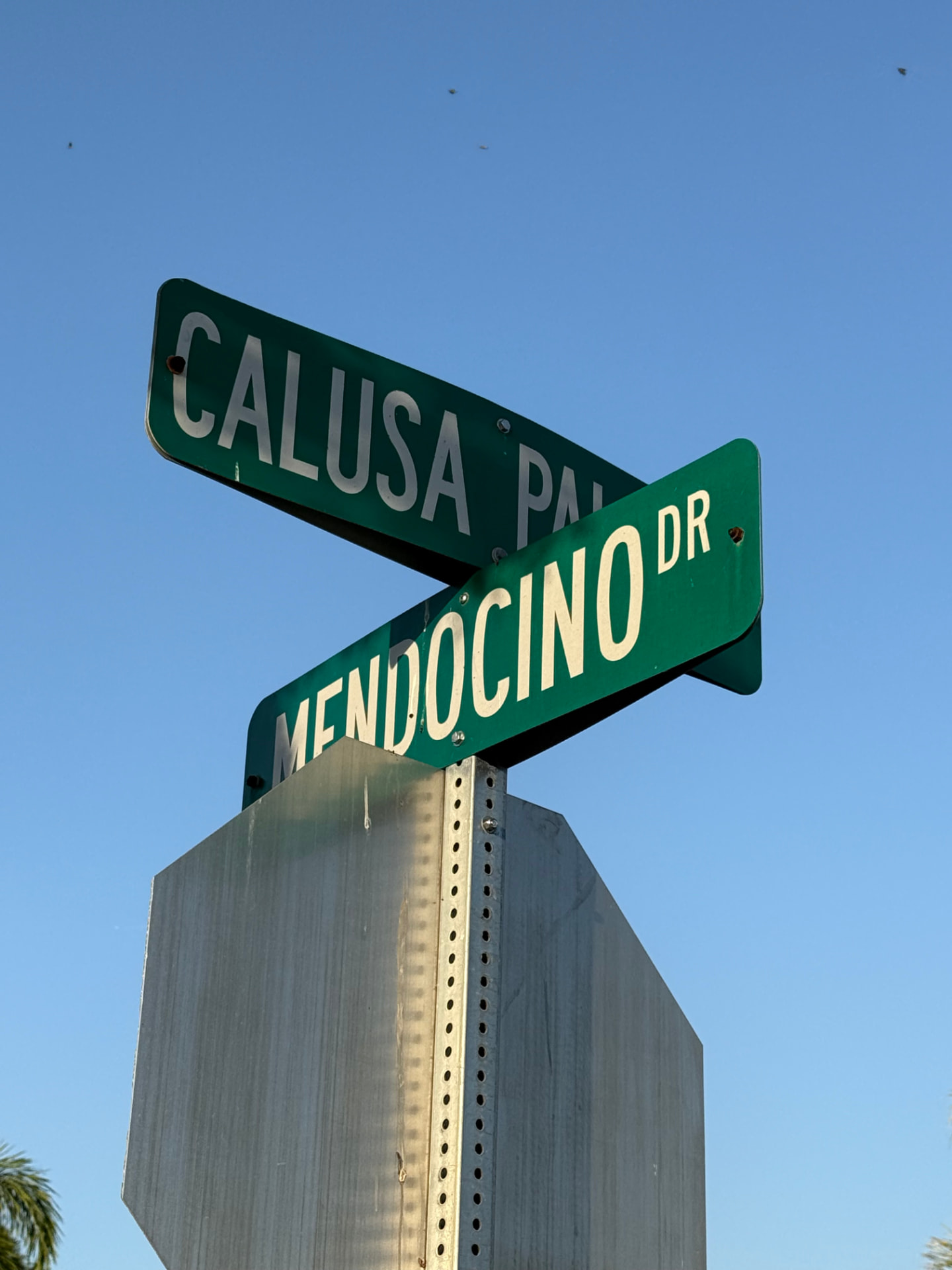 Calusa Palms Drive and Mendocino Drive street signs against a blue sky